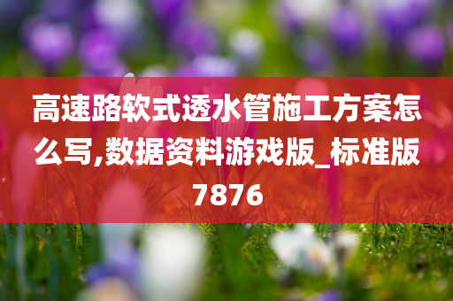 高速路软式透水管施工方案怎么写,数据资料游戏版_标准版7876