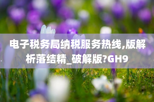 电子税务局纳税服务热线,版解析落结精_破解版?GH9