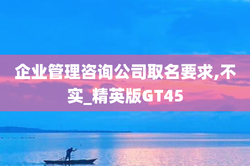 企业管理咨询公司取名要求,不实_精英版GT45