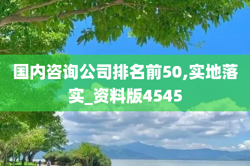 国内咨询公司排名前50,实地落实_资料版4545