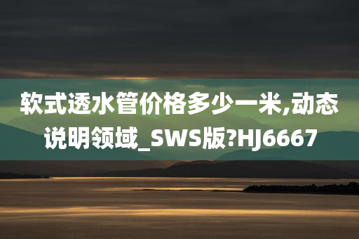 软式透水管价格多少一米,动态说明领域_SWS版?HJ6667