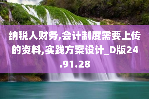 纳税人财务,会计制度需要上传的资料,实践方案设计_D版24.91.28