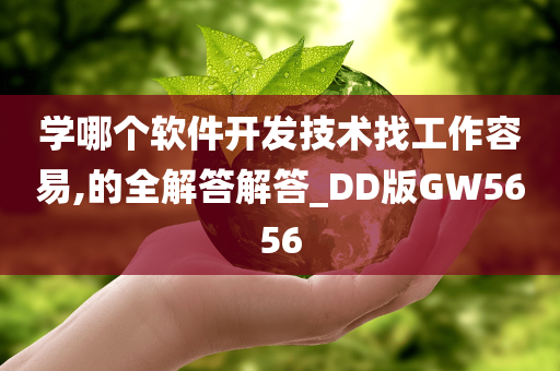 学哪个软件开发技术找工作容易,的全解答解答_DD版GW5656