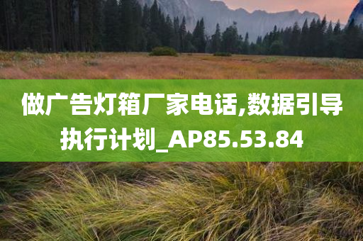 做广告灯箱厂家电话,数据引导执行计划_AP85.53.84