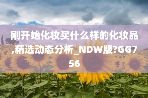 刚开始化妆买什么样的化妆品,精选动态分析_NDW版?GG756