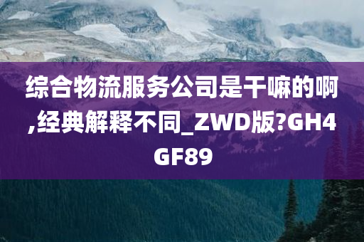 综合物流服务公司是干嘛的啊,经典解释不同_ZWD版?GH4GF89