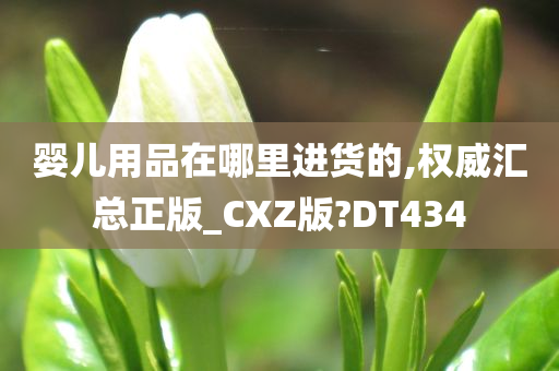 婴儿用品在哪里进货的,权威汇总正版_CXZ版?DT434