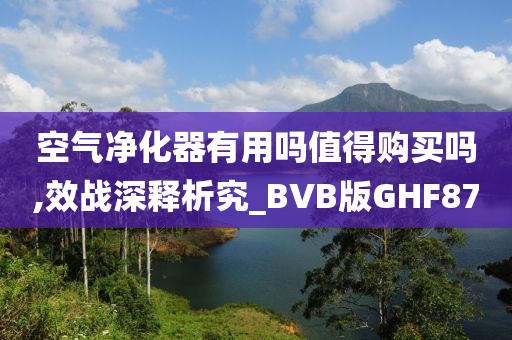 空气净化器有用吗值得购买吗,效战深释析究_BVB版GHF87