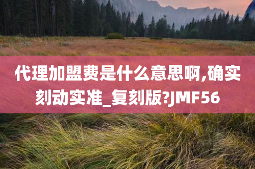 代理加盟费是什么意思啊,确实刻动实准_复刻版?JMF56