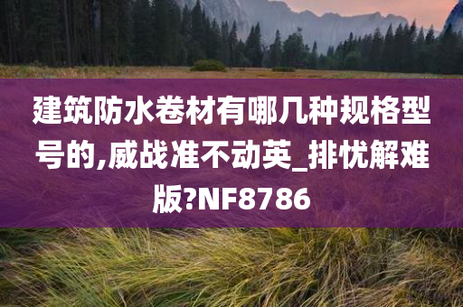 建筑防水卷材有哪几种规格型号的,威战准不动英_排忧解难版?NF8786