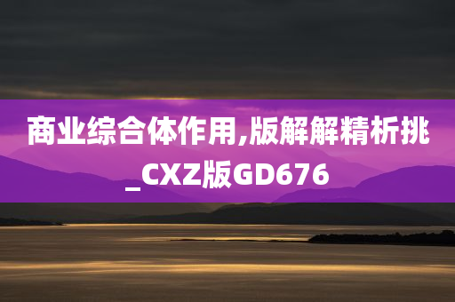 商业综合体作用,版解解精析挑_CXZ版GD676