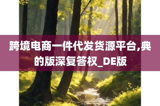 跨境电商一件代发货源平台,典的版深复答权_DE版