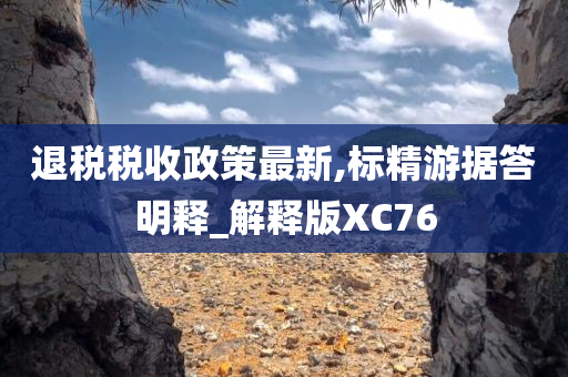 退税税收政策最新,标精游据答明释_解释版XC76