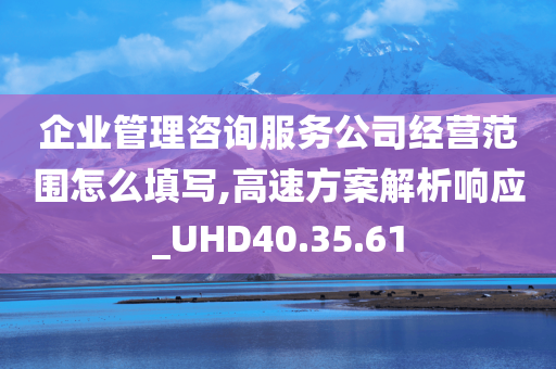 企业管理咨询服务公司经营范围怎么填写,高速方案解析响应_UHD40.35.61