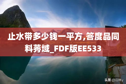 止水带多少钱一平方,答度品同料莠域_FDF版EE533