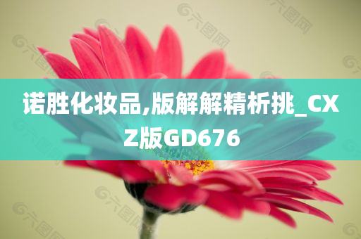 诺胜化妆品,版解解精析挑_CXZ版GD676