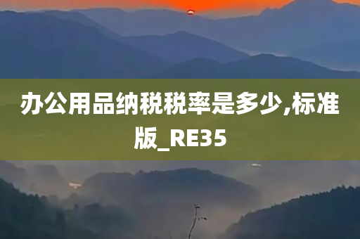 办公用品纳税税率是多少,标准版_RE35