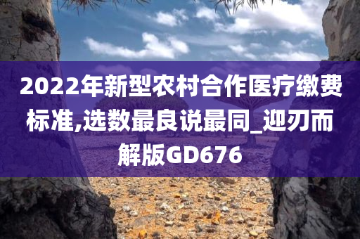 2022年新型农村合作医疗缴费标准,选数最良说最同_迎刃而解版GD676