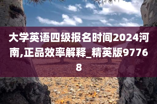 大学英语四级报名时间2024河南,正品效率解释_精英版97768