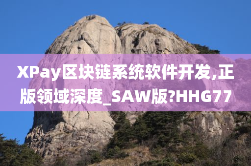 XPay区块链系统软件开发,正版领域深度_SAW版?HHG77