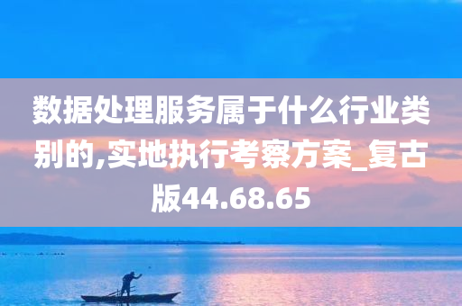 数据处理服务属于什么行业类别的,实地执行考察方案_复古版44.68.65