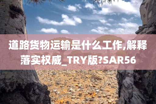 道路货物运输是什么工作,解释落实权威_TRY版?SAR56