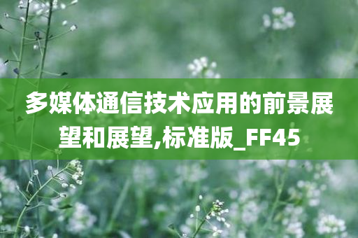 多媒体通信技术应用的前景展望和展望,标准版_FF45