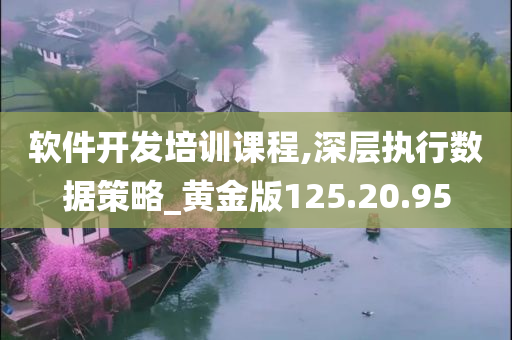 软件开发培训课程,深层执行数据策略_黄金版125.20.95