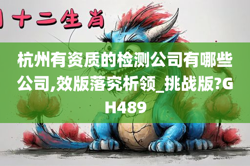 杭州有资质的检测公司有哪些公司,效版落究析领_挑战版?GH489