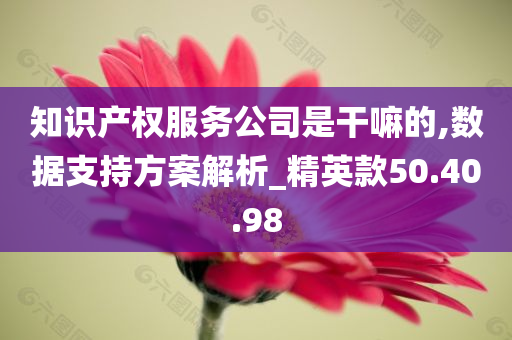 知识产权服务公司是干嘛的,数据支持方案解析_精英款50.40.98