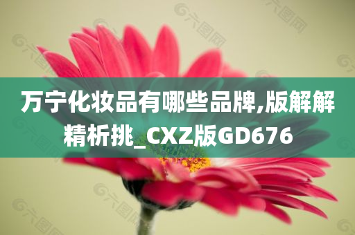 万宁化妆品有哪些品牌,版解解精析挑_CXZ版GD676