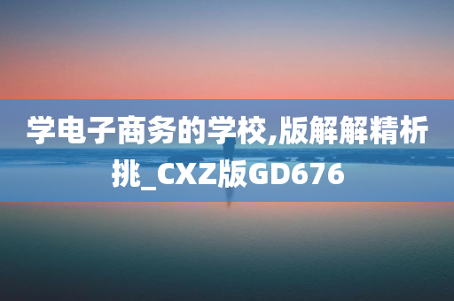 学电子商务的学校,版解解精析挑_CXZ版GD676