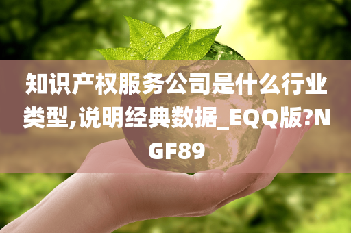 知识产权服务公司是什么行业类型,说明经典数据_EQQ版?NGF89