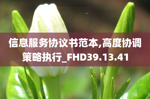 信息服务协议书范本,高度协调策略执行_FHD39.13.41