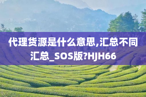 代理货源是什么意思,汇总不同汇总_SOS版?HJH66