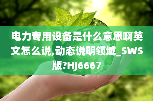 电力专用设备是什么意思啊英文怎么说,动态说明领域_SWS版?HJ6667