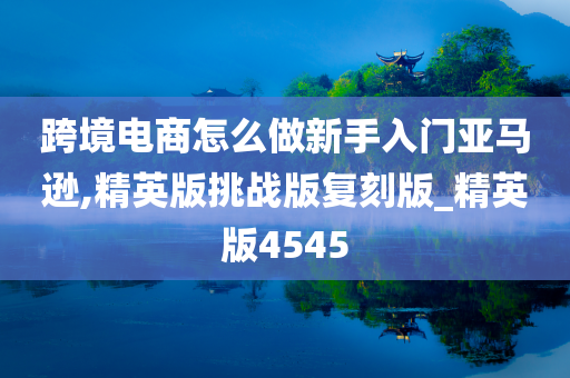 跨境电商怎么做新手入门亚马逊,精英版挑战版复刻版_精英版4545