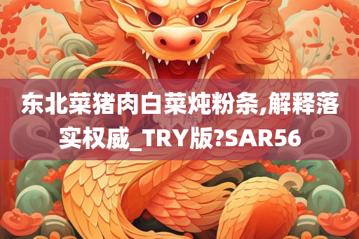 东北菜猪肉白菜炖粉条,解释落实权威_TRY版?SAR56