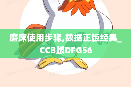 磨床使用步骤,数据正版经典_CCB版DFG56