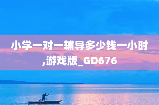 小学一对一辅导多少钱一小时,游戏版_GD676