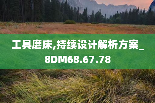 工具磨床,持续设计解析方案_8DM68.67.78