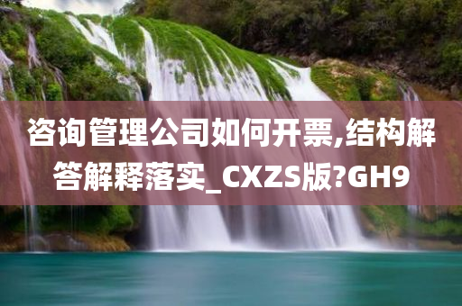 咨询管理公司如何开票,结构解答解释落实_CXZS版?GH9