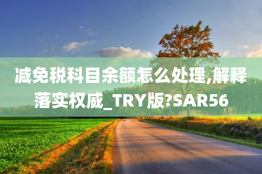 减免税科目余额怎么处理,解释落实权威_TRY版?SAR56