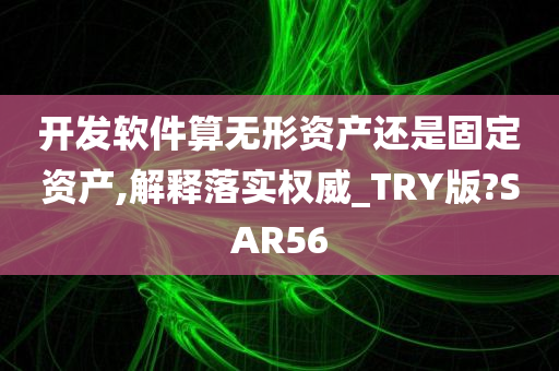 开发软件算无形资产还是固定资产,解释落实权威_TRY版?SAR56