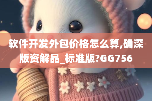 软件开发外包价格怎么算,确深版资解品_标准版?GG756