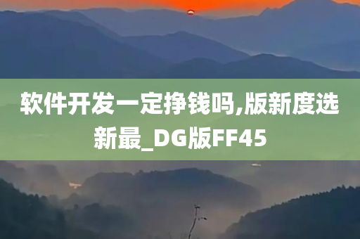 软件开发一定挣钱吗,版新度选新最_DG版FF45