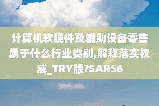 计算机软硬件及辅助设备零售属于什么行业类别,解释落实权威_TRY版?SAR56