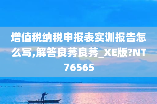 增值税纳税申报表实训报告怎么写,解答良莠良莠_XE版?NT76565