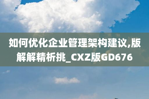 如何优化企业管理架构建议,版解解精析挑_CXZ版GD676