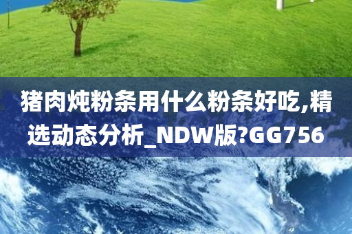 猪肉炖粉条用什么粉条好吃,精选动态分析_NDW版?GG756